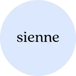 시엔느 25% 쿠폰