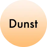 던스트 30% 쿠폰