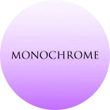 모노크롬 25% 쿠폰