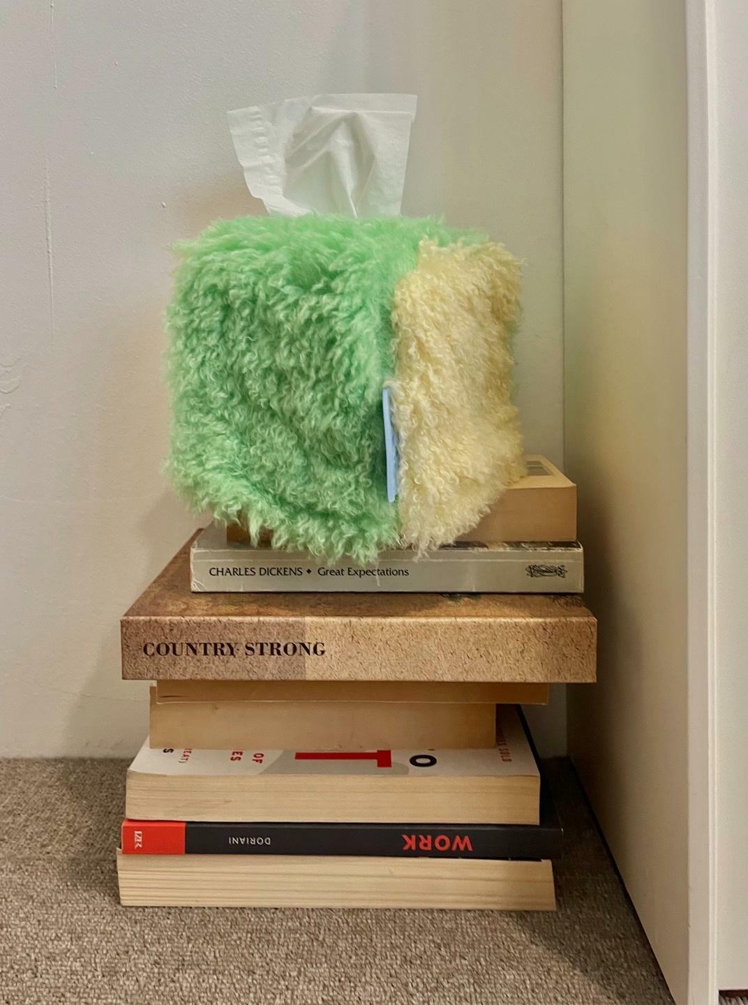 Fur-ppet Mini Tissue Case - Color Block C - HAGO(하고)